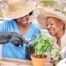 Caregiver and Senior gardening as part of companion care activities.